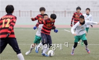 스포츠열기 가득 찬 전남 강진군