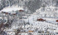 강진군 주작산 자연휴양림 겨울에도 인기 절정