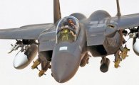 '백전백승' 최고전투기 'F15' 치명적 매력이