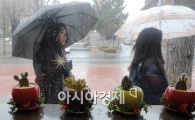 [포토]빗 속의 여인?