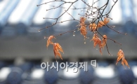[포토]겨울비 내리는 서울 