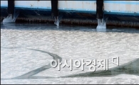 [포토]선착장 결빙