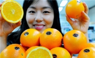 홈플러스, 고당도 '퓨어스펙 오렌지' 판매