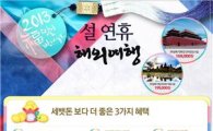 "설연휴 '동남아' 여행을 진짜로 이 가격에?" 