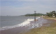 신안 임자해변 해안사구 생태복원 추진