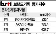 [그래픽뉴스]하이카다이렉트, 온라인자동차보험 브랜드 1위