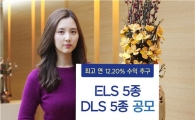 KDB대우證,  ELS·DLS 10종 공모