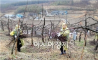 보성군, 새해도 노블레스 오블리주 봉사는 계속된다