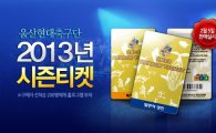 울산 현대, 2013 연간 회원권 판매 개시
