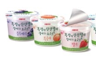 서울우유, 떠먹는 '요구르트' 일 판매량 20만개 돌파
