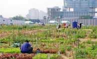 금천구, 주말 농장 회원 모집 