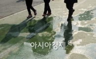 [포토]눈은 녹고 기온은 올라가고 