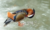 [포토]"봄 맞을 준비해야지"