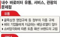 [내수코리아]한해 10조원 로열티 내주는 나라