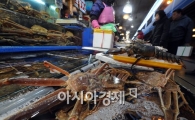 [포토]싱싱한 노량진 수산시장