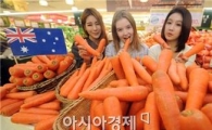 [포토]맛있는 당근 