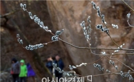 [포토]봄 맞이하는 등산객들