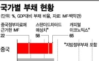 中 경기 부양에 소심한 이유