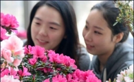 [포토]환하게 핀 철쭉꽃을 보며