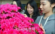 [포토]활짝 철쭉꽃을 보고 미소짓는 시민들
