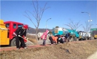 화순읍 시가지, 코스모스길 조성 ‘한창’