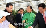[포토]박준영 전남지사, 광양 파프리카 농장 방문