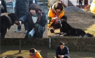 tvN '나인' 조윤희, 러블리한 犬 데이트 포착 