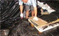 완도군 해조류 부산물 재활용사업 ‘성과’