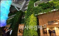 [포토]수직정원 사진찍는 시민들