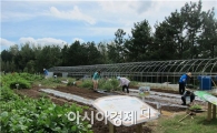 장성군, 도시농업 활성화 ‘박차’
