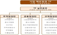 정부 "'기업애로점검 TF' 발족, 손톱 밑 가시 뺀다"