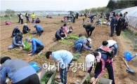 장성군, “주말에 가족들과 텃밭을 가꿔보세요!”