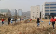 무안 공무원들, 남악 신도시 봄맞이 대청소