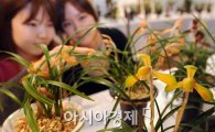 [포토]'제28회 한국춘란전시회' 개막 