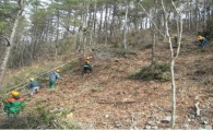 영암군, ‘2013년 숲 가꾸기 사업’ 실시