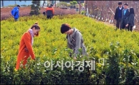 [포토]산림조합중앙회 2013년도 나무시장 개장