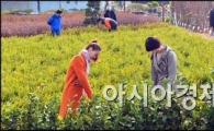 [포토]봄의 알림, 나무시장 개장