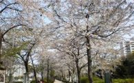 서울시, 기업·시민단체와 함께 '초록숲길' 만든다