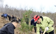 보성군, 전 군민 나무심기 전개