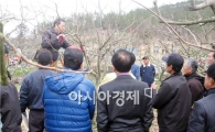 강진군,  단감 전정 교육 실시
