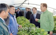 [포토]박준영 전남지사,담양 딸기농가 방문