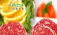 함평 나비 한우,  봄맞이 48% 세일