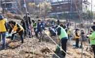 노원구, 가정마다 하나 이상 나무 심는다