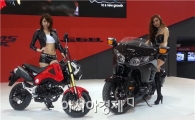 [서울모터쇼]혼다코리아 "올해 모터사이클 신제품 9개 출시"