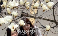 [포토]봄 날씨 속 캠퍼스