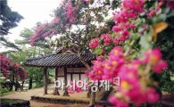담양군, ‘송강 정철의 자취를 따라가는 생생 가사체험’ 참가자 모집!!