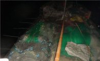 불법 중국 어선들, 치어까지 싹쓸이