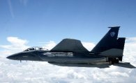 한국 정부 미국에 F-35나 F15SE  60대 구매 타진