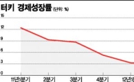 '위기 무풍지대' 터키도 성장률 급브레이크