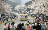 꽃·동물과 함께하는 '봄바람 대축제' 열린다